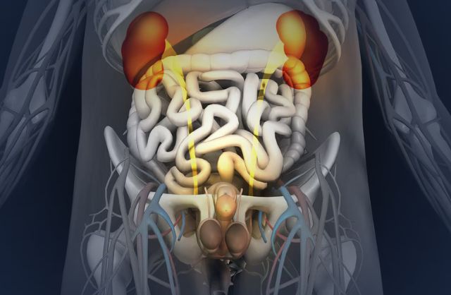 Congenital Genito-Urinary abnormality