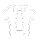 spine