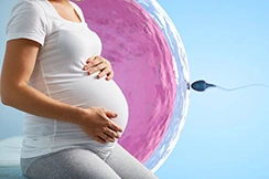 Fertility