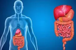 Gastroenterology Treatments