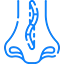 Septoplasty icon
