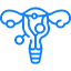 Uterine Fibroids