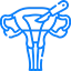 Uterus Removal Surgery