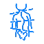 Scoliosis icon