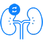 Kidney Transplant icon