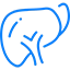 Liver Transplant icon