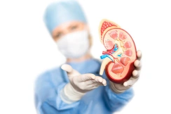 Kidney Transplant