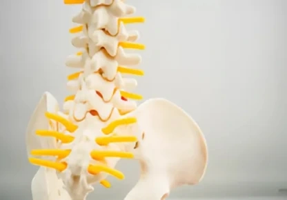 Hip